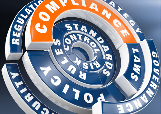 a criminal justice standards diagram